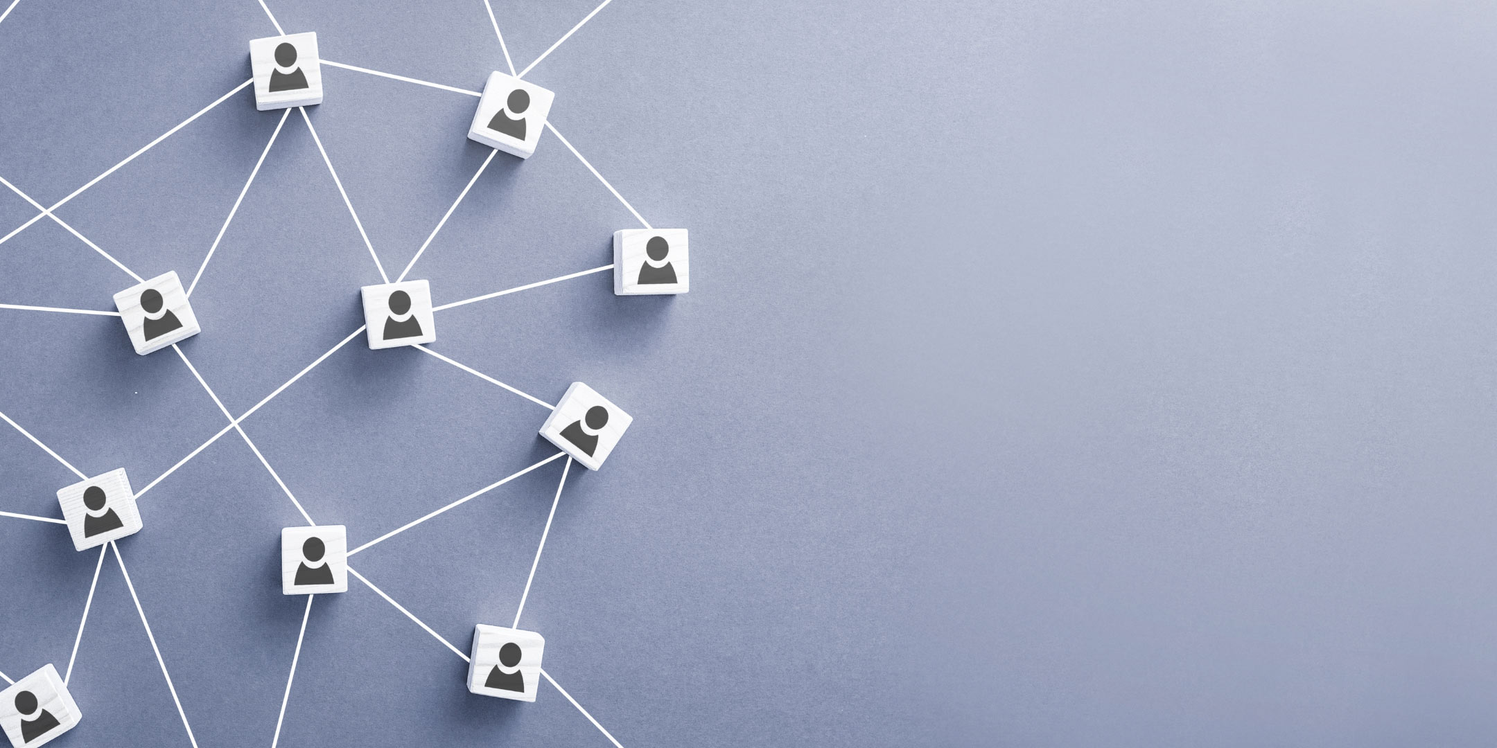 S-Corp vs. LLC vs. Sole Prop: A Plain-English Comparison